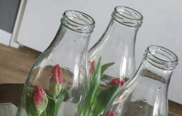 تبدیل شیشه شیر به گلدان گل